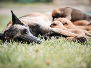 Epigenetik – Erbe oder Umwelt?