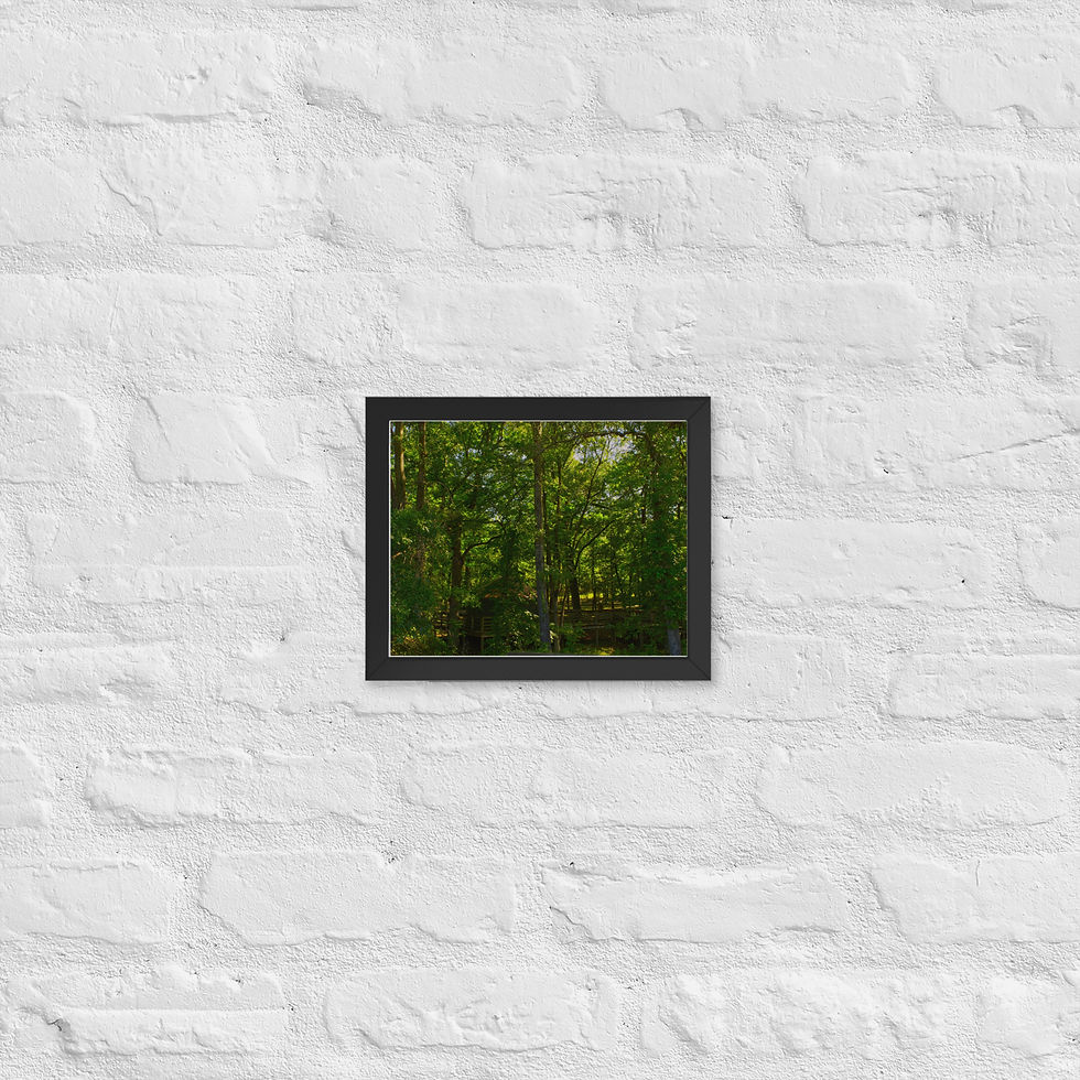 Thumbnail: Yurt in the Woods: Framed poster