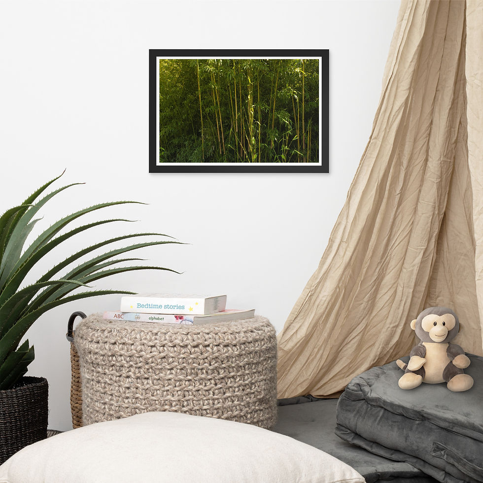 Thumbnail: Bamboo Forest 3 :Framed poster