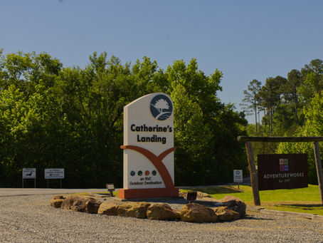 Our Stay at Catherine's Landing Arkansas