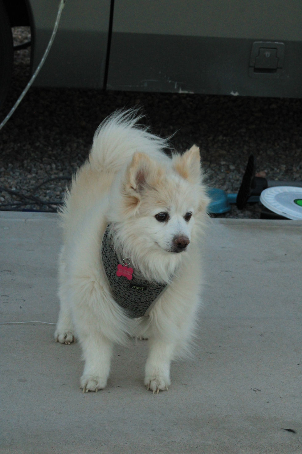 Welcome to Yuma Apollo