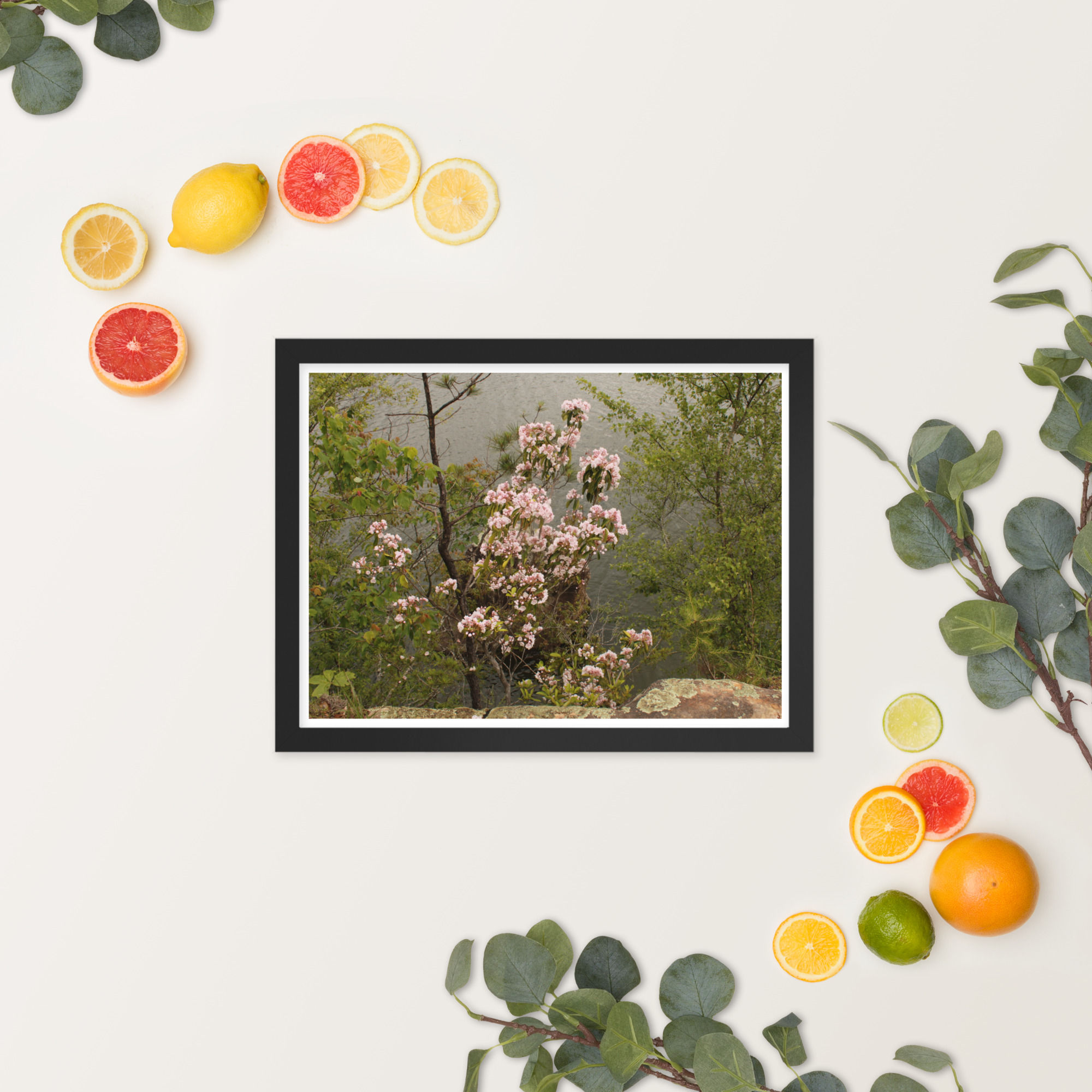 Pink Flowers on Cliff: Framed poster
