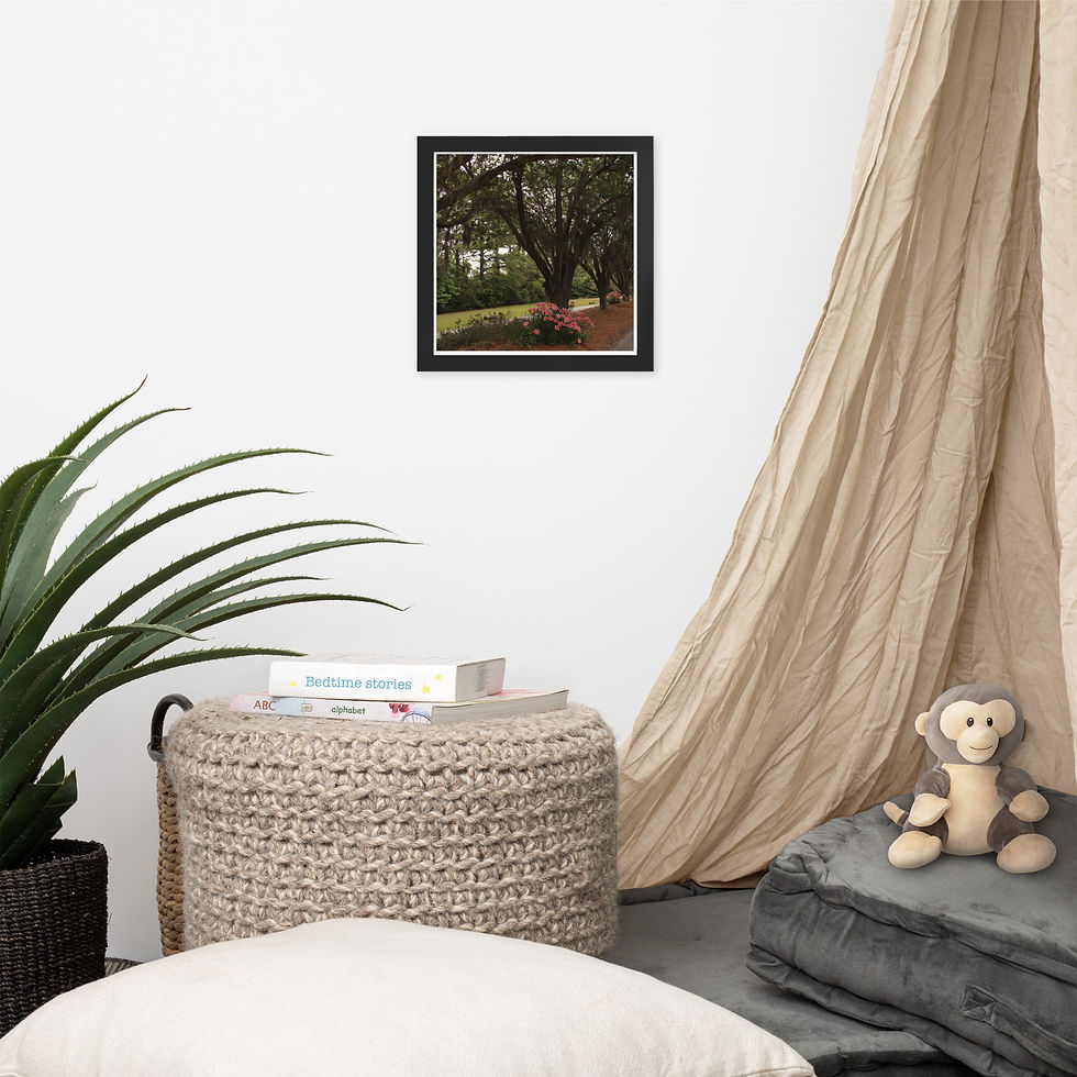 Thumbnail: St Helena Beauty 1: Framed poster