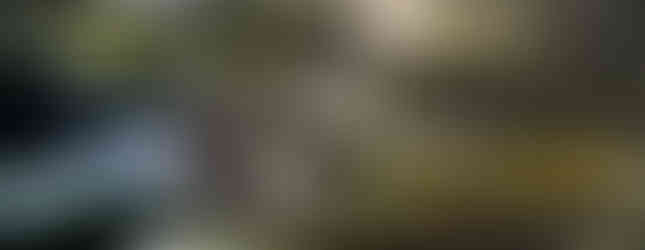 Crossing, Big Qualicum River