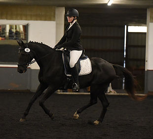 Dressage_For_Adults.JPG