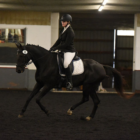 Dressage_For_Adults.JPG