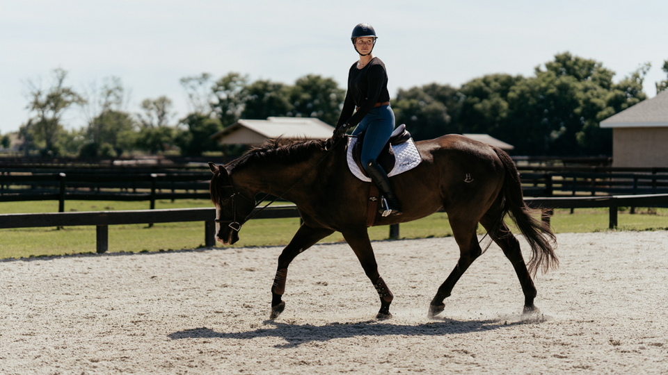 Riders and horses in a riding arena