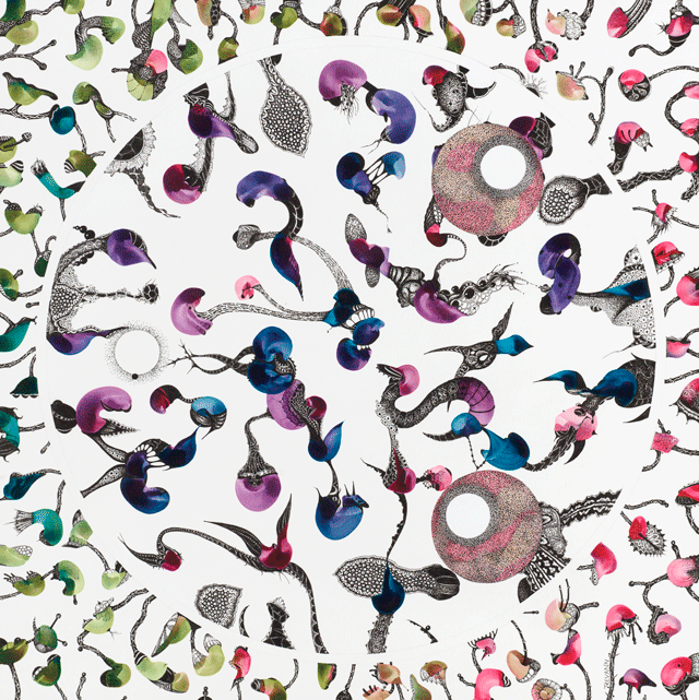 'White Moon Shadows'