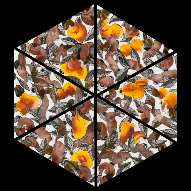 Brown Hexagon on Black