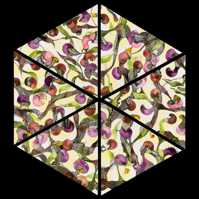 Lilac, Green, Brown Hexagon on Black