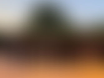 Black Male Alliance kicks off five weeks of work to prevent gun violence.