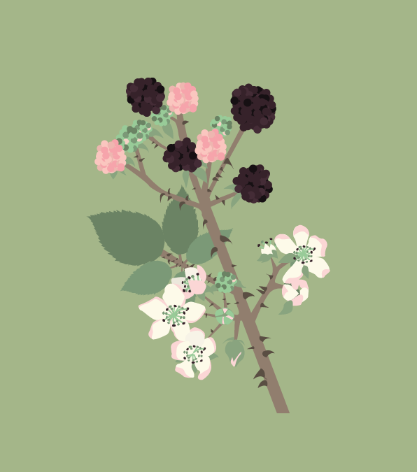 Artboard 1.png