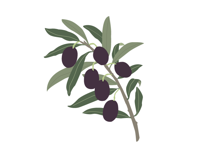 Olive.png