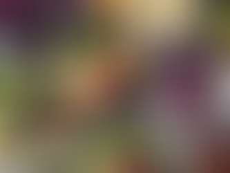 Why Clean Keto-Biotic Changed Everything (And Why “Eat Less, Move More” Is Ruining Your Metabolism)