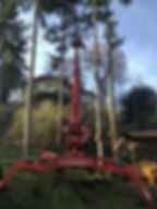 Baumabtragung