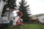 Baumabtragung