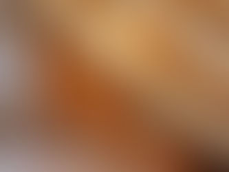 AMENAGEMENT SOUS ESCALIER EN CHENE