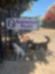 IMG_5557.jpeg