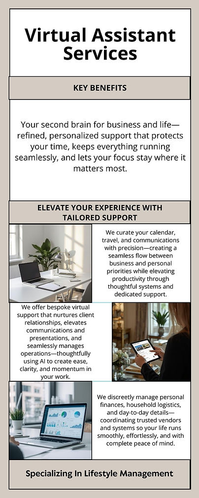 Infographic - Virtual Assistant Services.jpg