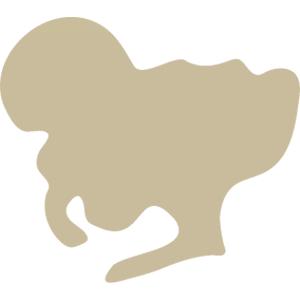 aichi.webp