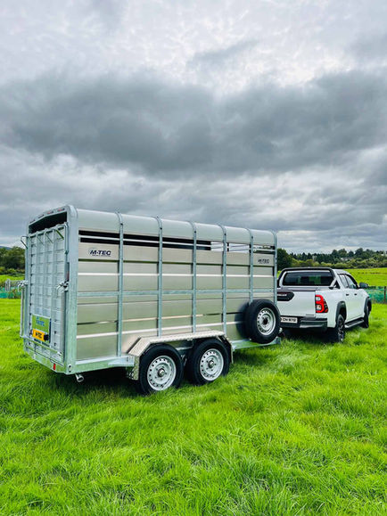 12FT X 6FT Livestock Trailer