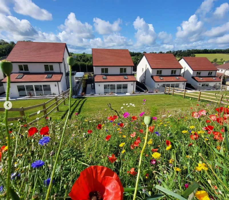 Oakwood Housing Development