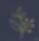 Gemini_Generated_Image_9wh1ds9wh1ds9wh1.png