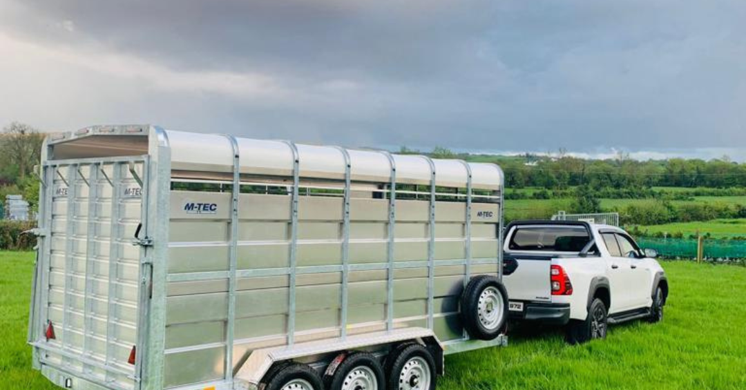 14FT X 6FT Livestock Trailer