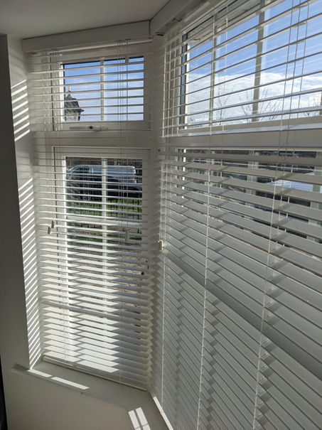 Venetian Blinds