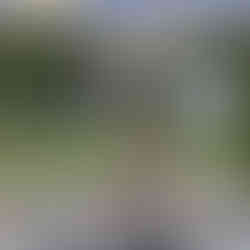 Forbes Middle East Medical Tourism & Wellness Summit 2025