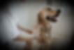 Image of do getting a bath