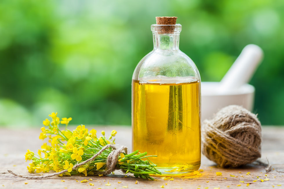 Bottle of rapeseed oil (canola) and rape flowers on table outdoors.jpg