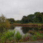 Local Walks - Lakes and Hills
