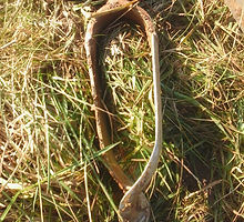 20230214_105255_edited_edited_edited.jpg