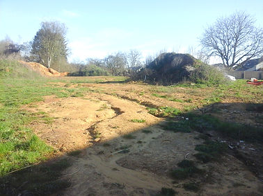 20230404_091107_edited.jpg