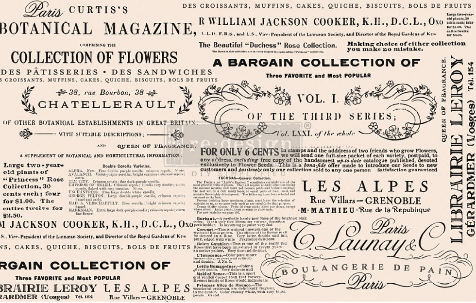 Redesign  by Prima-Floral Text
