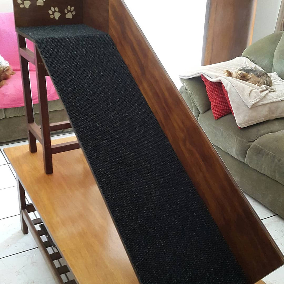Thumbnail: Mia Ramp with 2 sets of Paw Prints 