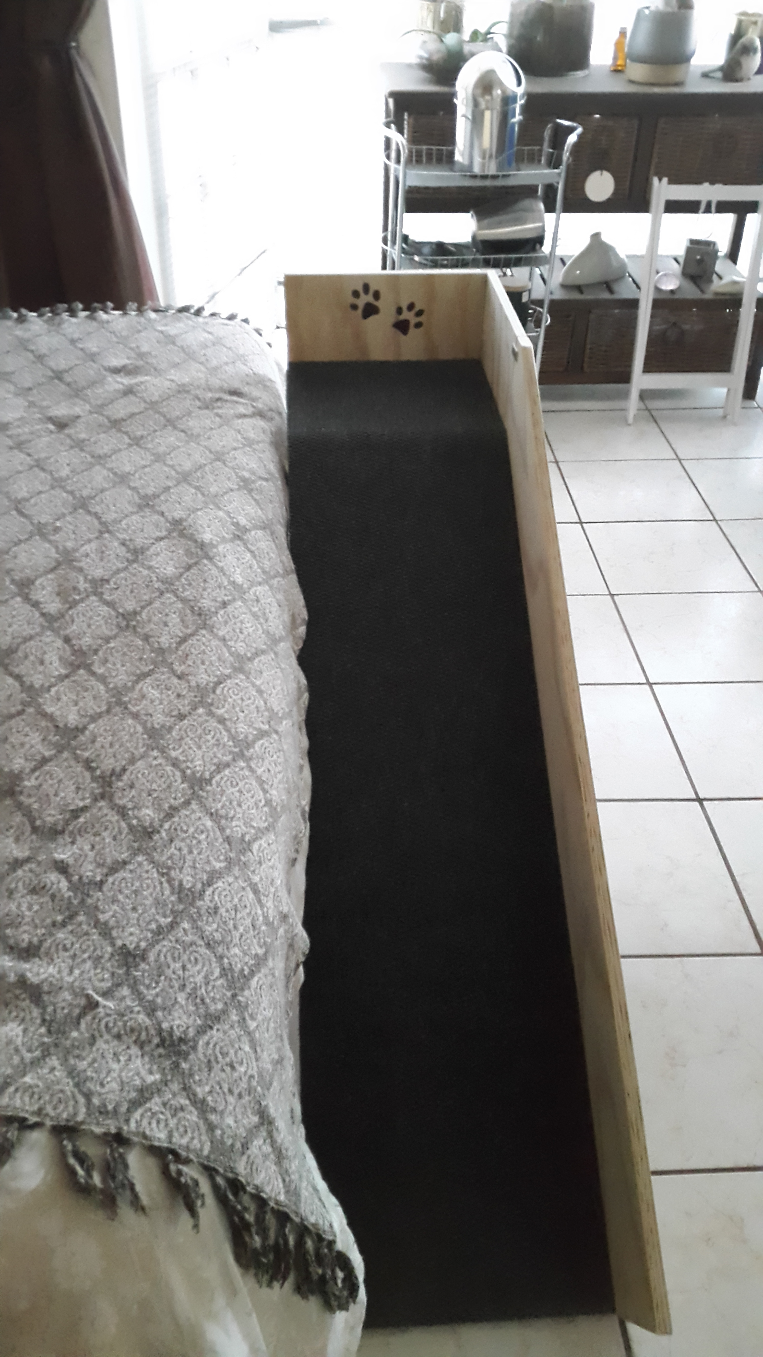 Phoebe Ramp with Engraved Paw print 