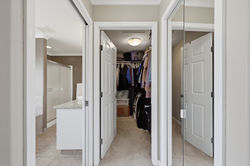 quail dr_907_036