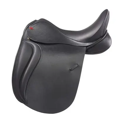jeffriesdressage2.webp