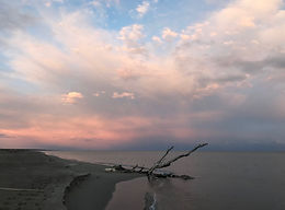 the beach at sunset