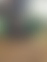 Sunday July, 23: Canadian Fun