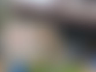 Independence Day Alaskan Style