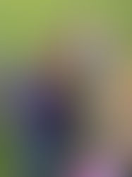 Brambly Mountain Heads to The Last Frontier!