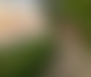 Friday, August 4th: A Little Homesick