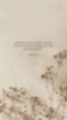 2ee48a4749fc49e8717254ce4a50c260.jpg
