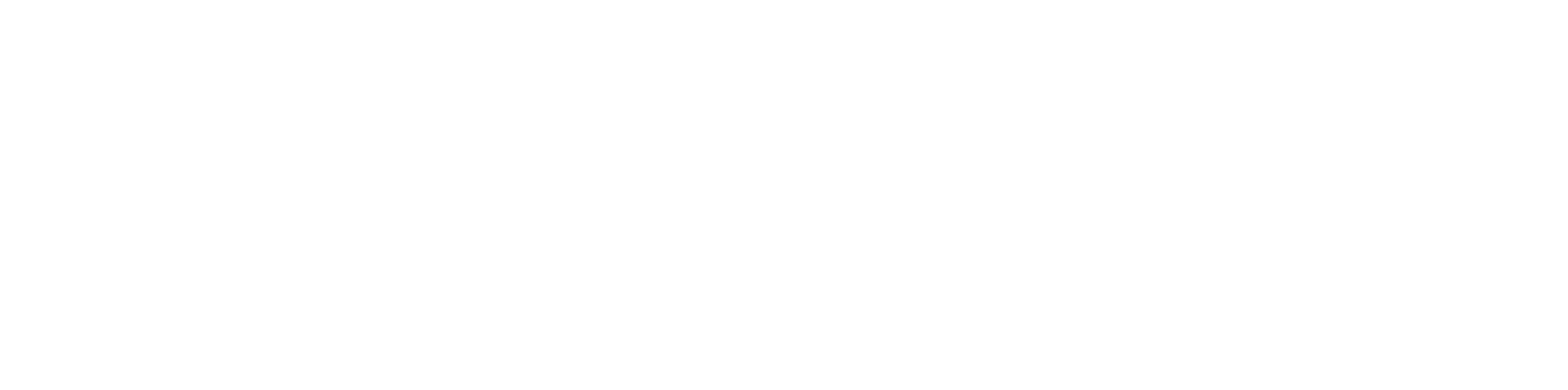 Kingpix-Primary-White-Transparent.png
