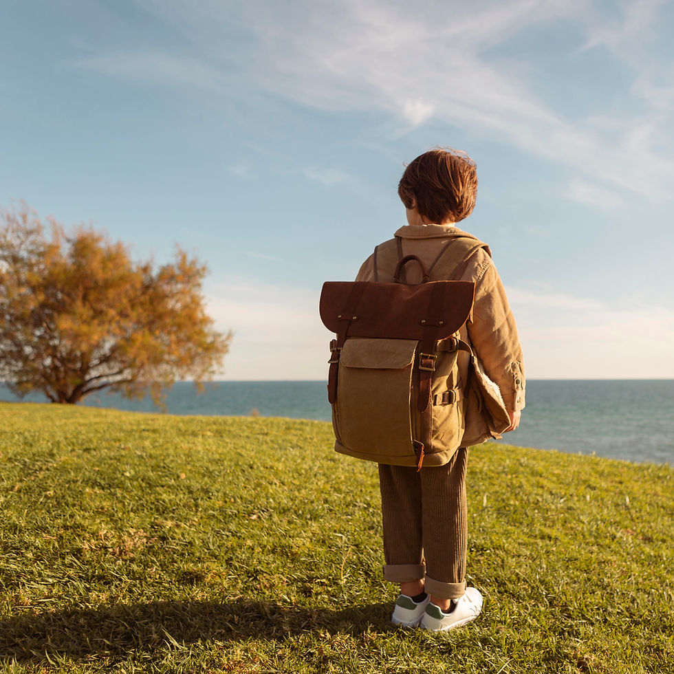 Boy with a backpack standing on a woodland path, seen from behind
