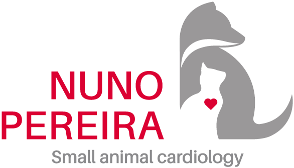 Logo: NUNO PERERIA Médico Veterinário