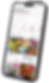 bsdfcf30.png